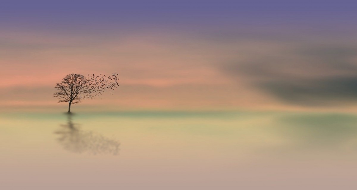 Stille pixabay Stille pixabay