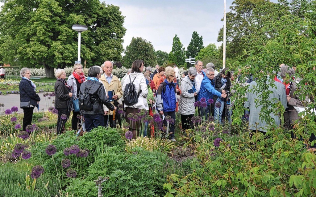 bibelpflanzenfuehrung-2015